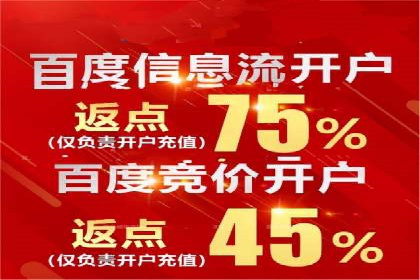 探索百度推广运营的奥秘：提升ROI的技巧